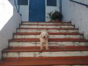 Casa EN VENTA en Inmomap