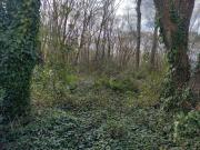 Departamento EN ALQUILER en Inmomap