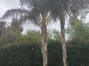 Casa EN VENTA en Inmomap