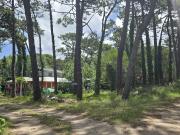 LOCAL EN ALQUILER en Inmomap