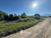 Departamento EN ALQUILER en Inmomap