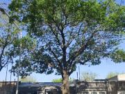 Casa EN VENTA en Inmomap