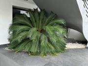 Casa en venta en Interlomas, Huixquilucan, Estado De México