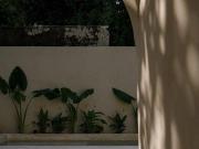 Casa en Venta en Itzimna, Mérida Yucatán