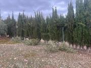 Casa en venta en Jaén, Puente Tablas Puente Nuevo Cerro...