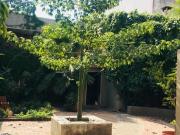 CASA EN VENTA EN JARDINES DE LOS ARCOS