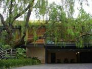 CASA EN VENTA EN JARDINES DEL PEDREGAL ALBERCA JARDÍN...