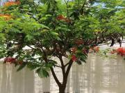 Casa en venta en Juriquilla Santa Fe, Querétaro