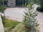 Casa en Venta en La Campiña del Bosque