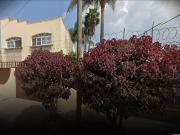 Casa en venta en La Cebada, Zapotlán el Grande, Jalisco