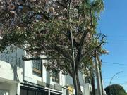 Casa en Venta en la Colonia Americana en Excelentes...