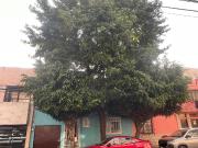 CASA EN VENTA EN LA CONDESA CON USO DE OFICINA