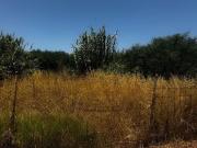 Casa en venta en La Línea de la Concepción, Cádiz Costa...