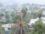 Casa en venta en La Molina a $795,000