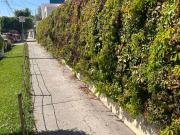 CASA EN VENTA EN LAS AGUILAS ZAPOPAN JALISCO