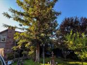 Casa en venta en LAS CONDES