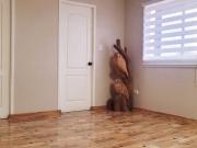 Casa en venta en LINARES Casa en venta en LINARES