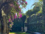 Casa en Venta en Lomas de Chapultepec: Gran Oportunidad...