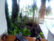 Casa en venta en Lomas de las Aguilas, Álvaro Obregón,...