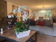 CASA EN VENTA EN LOMAS DE TECAMACHALCO
