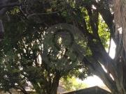 Casa en venta en Lomas de Tetela