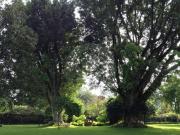 Casa en venta en Lomas de Tetela