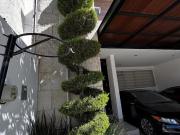 CASA EN VENTA EN LOMAS PUNTA DEL ESTE LEÓN GTO CASA EN VENTA EN LOMAS PUNTA DEL ESTE LEÓN GTO