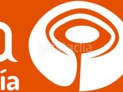 Casa en venta en Lora del Río. Casa para reformar en una...