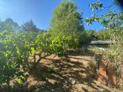 Casa en venta en Loranca de Tajuña. Casa con gran...