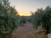 Casa en Venta en Lorca