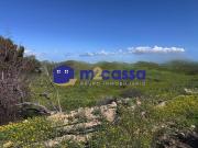Casa en venta en Lorca, Campillo. AMPLIA CASA CON...
