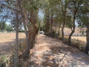 Casa en venta en Lorca, Campillo. Casas.