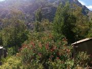 Casa en venta en LOS ANDES