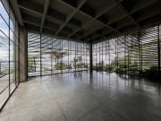 Casa en Venta en Los Balsos Poblado Medellin Antioquia