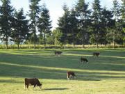 Casa en venta en LOS LAGOS Casa en venta en LOS LAGOS