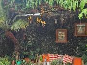 CASA EN VENTA EN LOS PINOS