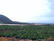 Casa en venta en Los Silos, Tenerife