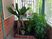 casa en venta en los tulipanes. Cod V2937