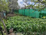 Casa en Venta en Lucena