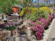 Casa en venta en Maçanet de la Selva, Mas Altaba El...