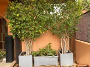 Casa en venta en Málaga, Limonar. Casa independiente en...