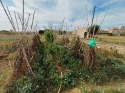 Casa en venta en Mataró, Cinc Sènies. Finca enorme con... Casa en venta en Mataró, Cinc Sènies. Finca enorme con...