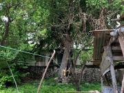 Casa en venta en Mérida Centro, Mérida, Yucatán