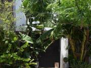 Casa en venta en Mérida, Colonia México Norte