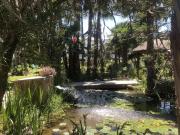 Casa en venta en Mijas, Mijas Golf. Casa Adosada en...