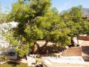 Casa en venta en Mijas, Mijas Pueblo Peña Blanquilla Casa en venta en Mijas, Mijas Pueblo Peña Blanquilla