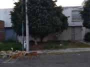 Casa en venta en Misión del Valle, Morelia, Michoacán de...