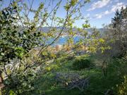 Casa en venta en Moaña. Casas.