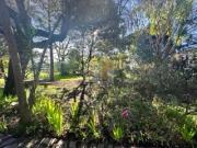 Casa en venta en Moaña. Casas.