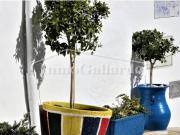 Casa en Venta en Moclinejo